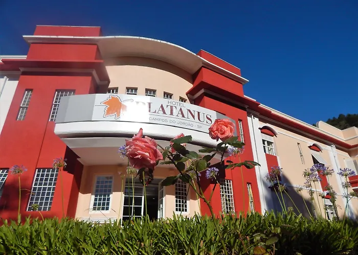 Hotel de praia: Hotel Platanus